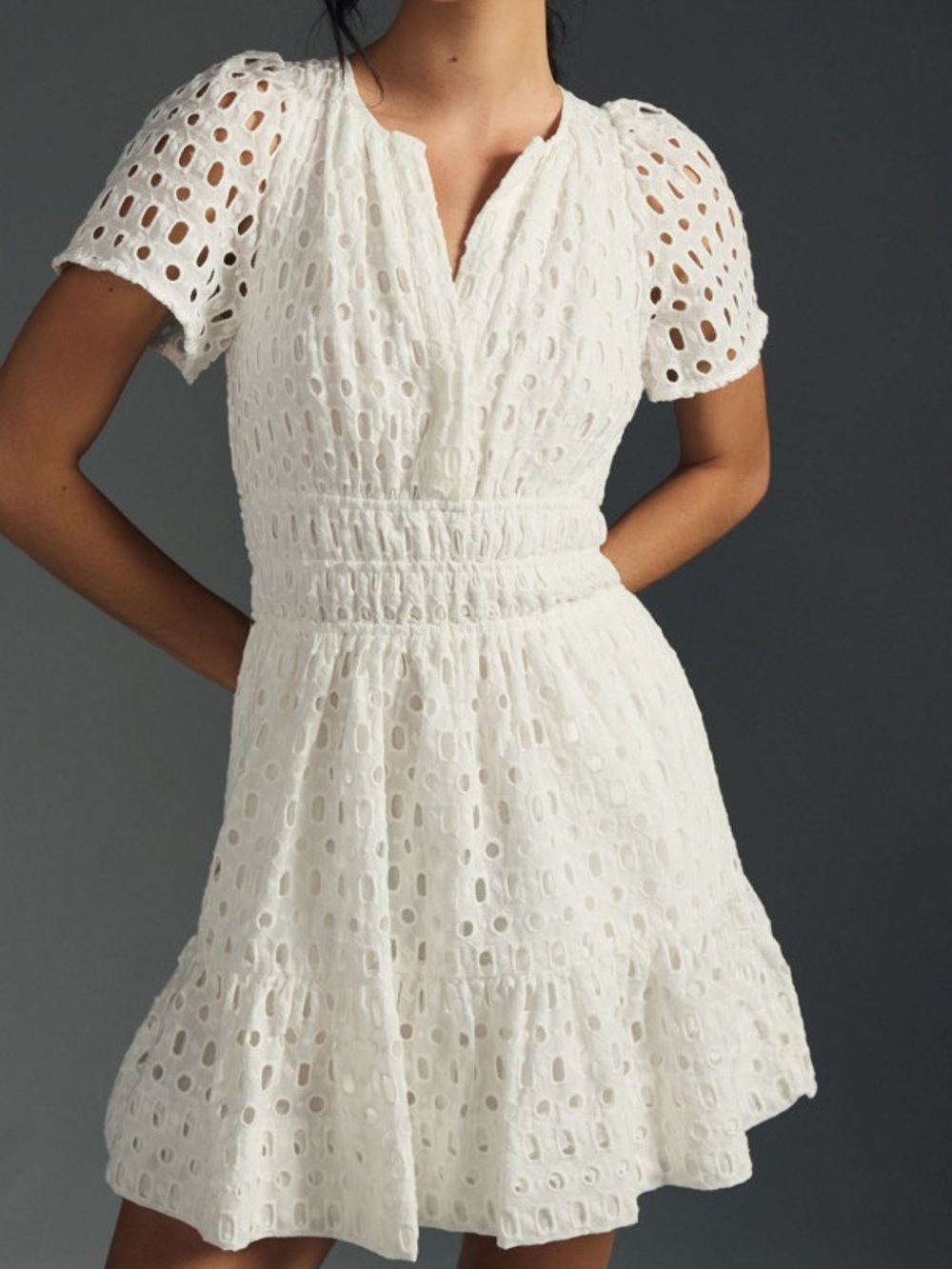 Anthropologie The Somerset Eyelet Mini Dress